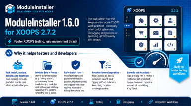 ModuleInstaller160